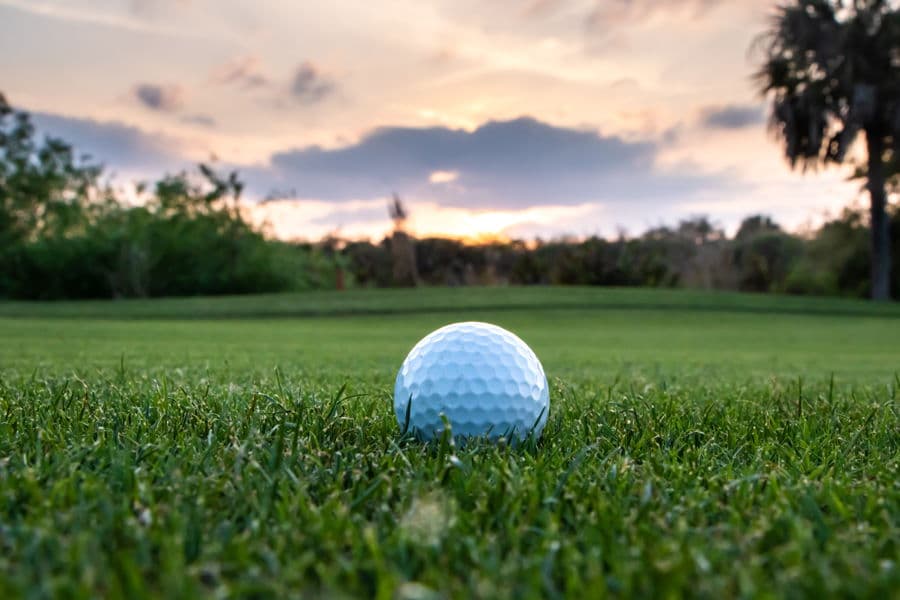 listings For Sale in East Lake Woodlands